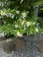 明智寺(埼玉県)