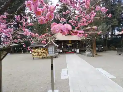 芳賀天満宮(栃木県)