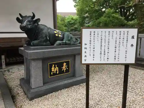 加納天満宮の狛犬