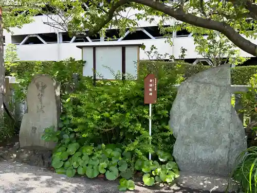 亀戸浅間神社(東京都)