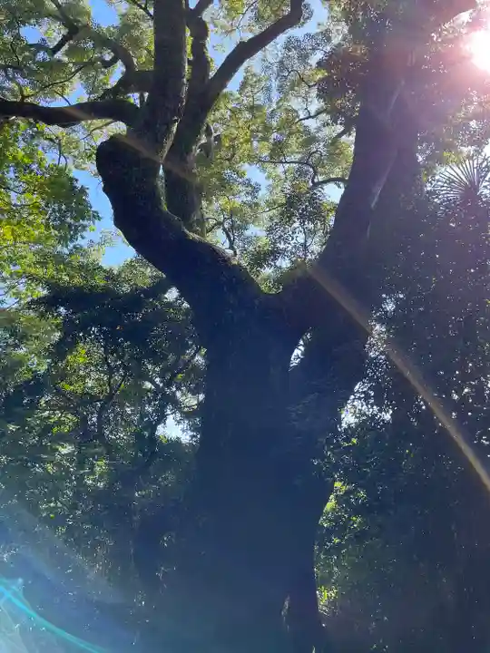 月讀宮(皇大神宮別宮)(三重県)