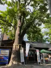 札幌諏訪神社の建物その他