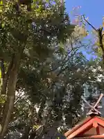 率川神社(大神神社摂社)(奈良県)