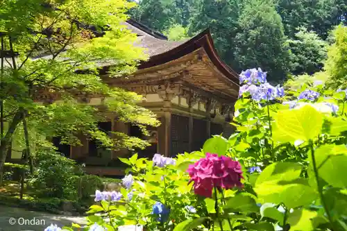 金剛輪寺(滋賀県)