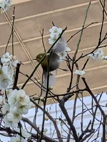 繁榮稲荷神社(東京都)