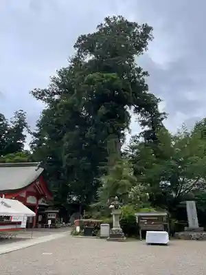 香取神宮(千葉県)