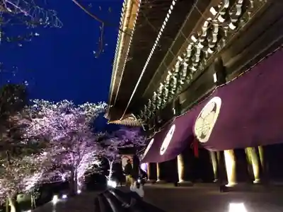 知恩院(京都府)