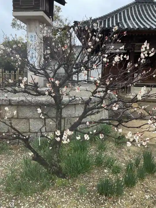 長尾天神宮(香川県)