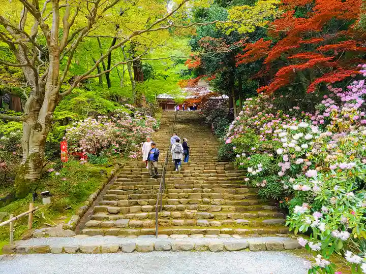 室生寺(奈良県)