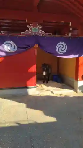 神田神社（神田明神）(東京都)