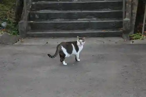 大慈寺(宮城県)