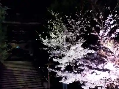 知恩院(京都府)