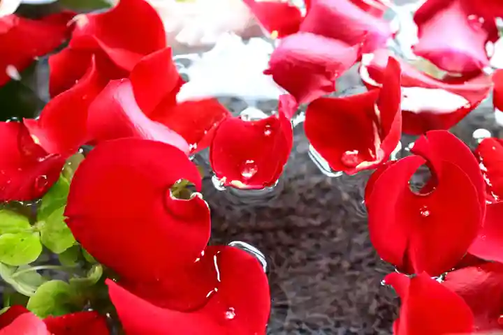 三津厳島神社の手水舎
