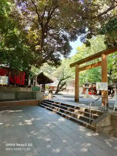 乃木神社の鳥居
