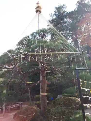 金蛇水神社の庭園