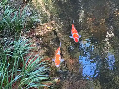 赤城神社(三夜沢町)(群馬県)