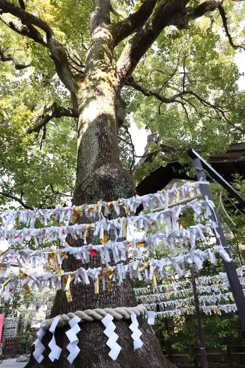 溝口神社(神奈川県)