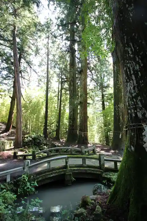金櫻神社(山梨県)