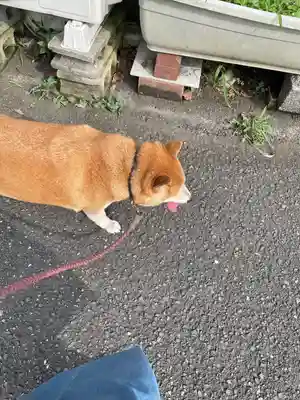 笠䅣稲荷神社(神奈川県)