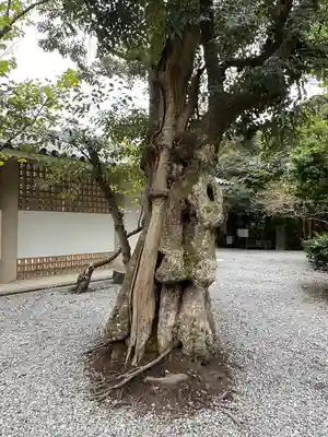 高徳院(神奈川県)