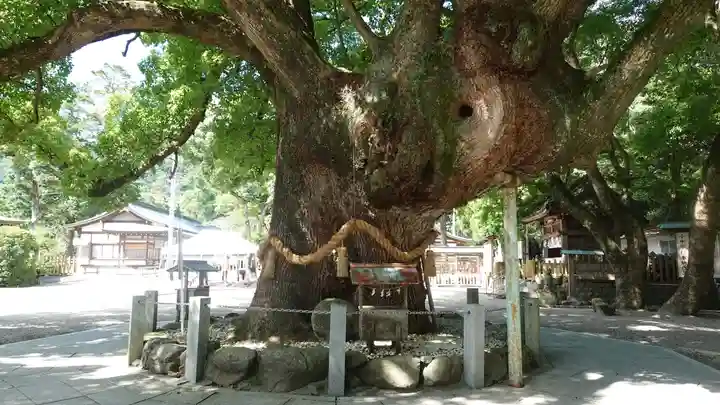 大麻比古神社(徳島県)