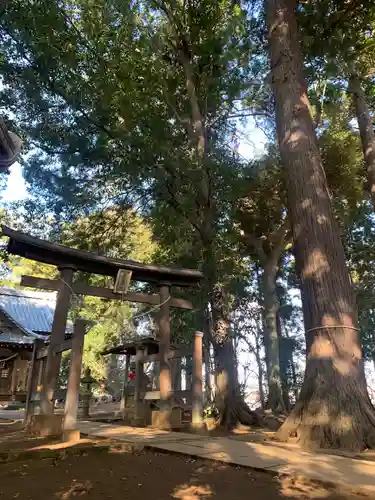 皇産霊神社の鳥居