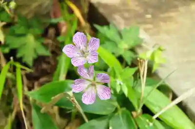 劔神社(徳島県)