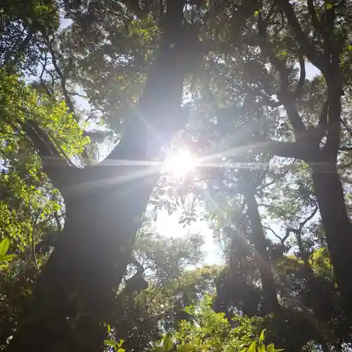沼尾神社の自然