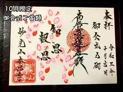 １０月限定　御会式桜　『知恩報恩』