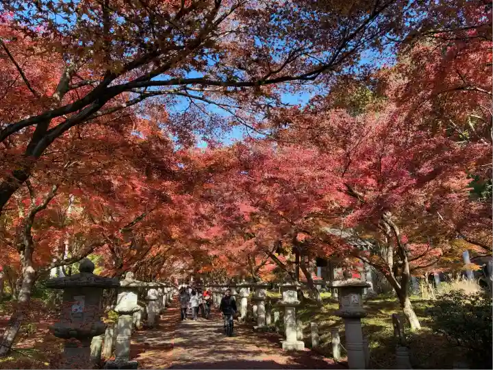 高山寺(兵庫県)