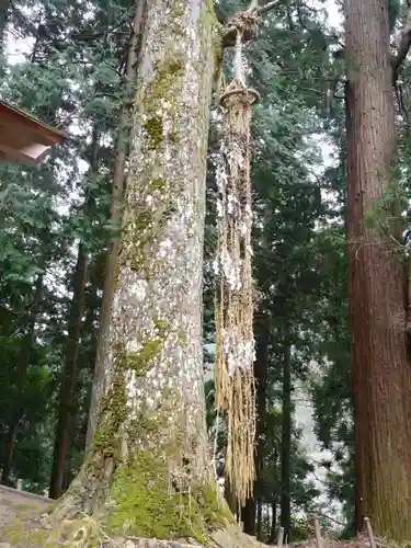 室生寺のその他建物