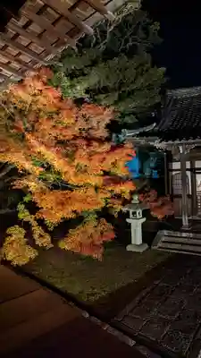 妙覺寺（妙覚寺）(京都府)