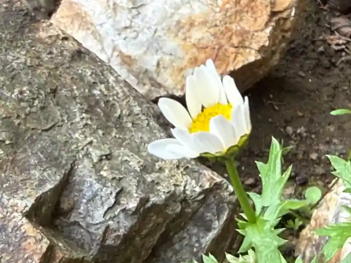 西方山極楽寺(岐阜県)