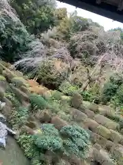 医光寺の庭園