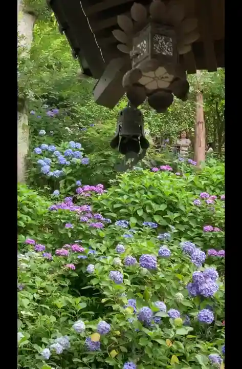 長谷寺(神奈川県)