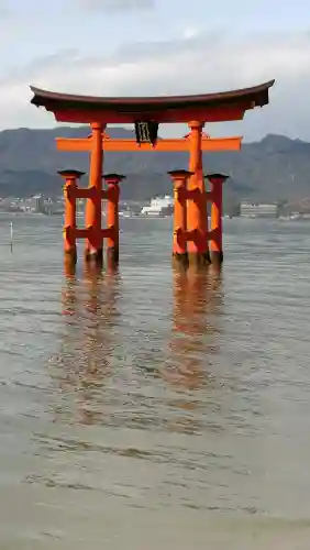厳島神社の{uncategorized: "未分類", other: "その他", undefined: "問題あり", building: "その他建物", grave: "お墓", sacred_gate: "鳥居", guardian: "狛犬", statue: "像", buddha: "仏像", history: "歴史", nature: "自然", garden: "庭園", animal: "動物", pagoda: "塔", temizu: "手水舎", mountain_gate: "山門・神門", sanctuary: "本殿・本堂", subordinate: "末社・摂社", art: "芸術", scenery: "景色", jizo: "地蔵", ema: "絵馬", goshuin: "御朱印", omikuji: "おみくじ", items: "授与品その他", amulet: "お守り", goshuincho: "御朱印帳", eats: "食事", festival: "お祭り", votive_dance: "神楽", shichigosan: "七五三参", wedding: "結婚式", experience: "体験その他", initially: "初詣", around: "周辺", anti_infection: "感染症対策"}