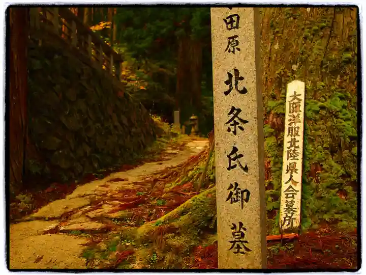 高野山金剛峯寺奥の院(和歌山県)