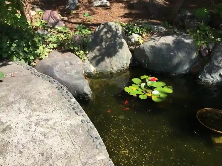 市来知神社の動物