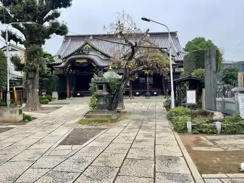 大圓寺(東京都)