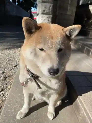 笠䅣稲荷神社(神奈川県)