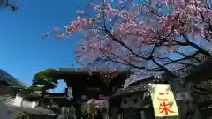 密藏院(埼玉県)