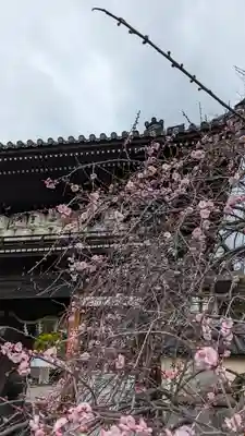 梅宮大社(京都府)