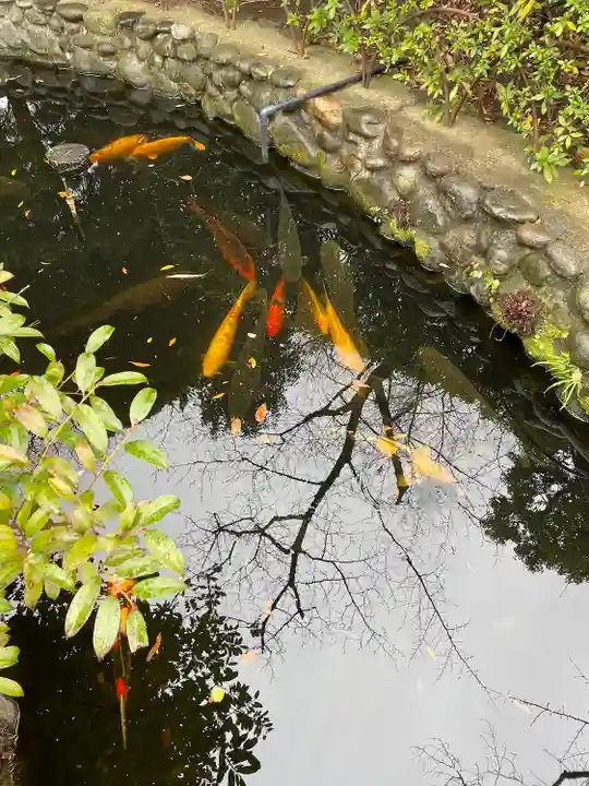 厳島神社(東京都)
