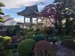 金剛寺の庭園