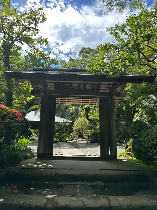 浄智寺(神奈川県)