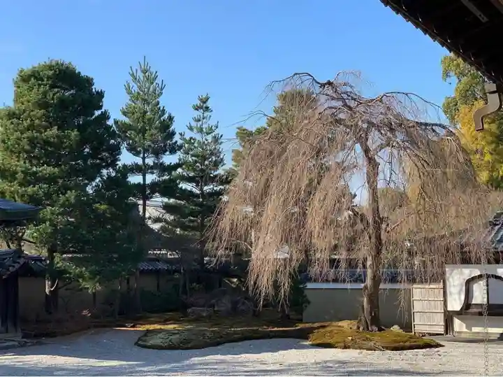 高台寺(高台寿聖禅寺・高臺寺)(京都府)