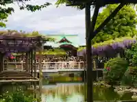 亀戸天神社の庭園