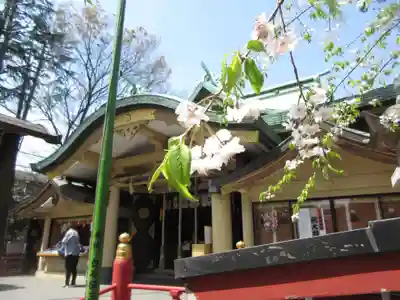 須賀神社の本殿・本堂
