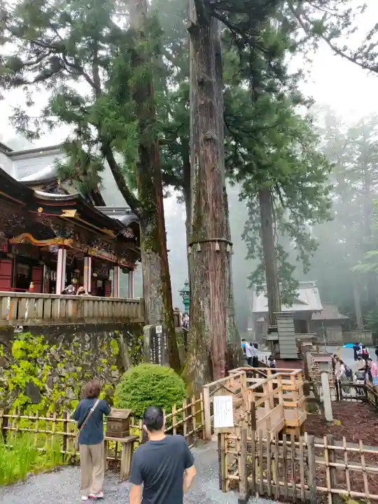 三峯神社の{uncategorized: "未分類", other: "その他", undefined: "問題あり", building: "その他建物", grave: "お墓", sacred_gate: "鳥居", guardian: "狛犬", statue: "像", buddha: "仏像", history: "歴史", nature: "自然", garden: "庭園", animal: "動物", pagoda: "塔", temizu: "手水舎", mountain_gate: "山門・神門", sanctuary: "本殿・本堂", subordinate: "末社・摂社", art: "芸術", scenery: "景色", jizo: "地蔵", ema: "絵馬", goshuin: "御朱印", omikuji: "おみくじ", items: "授与品その他", amulet: "お守り", goshuincho: "御朱印帳", eats: "食事", festival: "お祭り", votive_dance: "神楽", shichigosan: "七五三参", wedding: "結婚式", experience: "体験その他", initially: "初詣", around: "周辺", anti_infection: "感染症対策"}