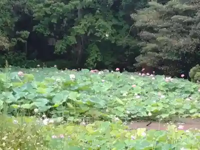 勧修寺(京都府)